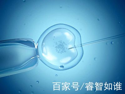 供卵包生男孩试管婴儿中心